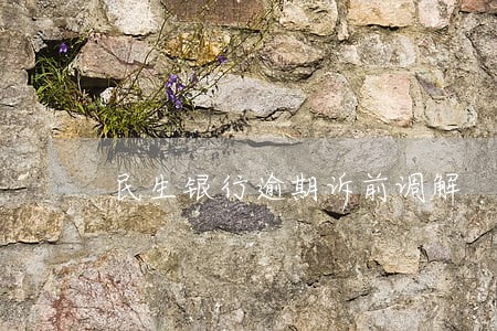 民生银行逾期诉前调解 民生银行逾期诉前调解