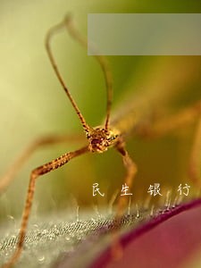 民生银行逾期费用怎么计算 民生银行逾期费用怎么计算