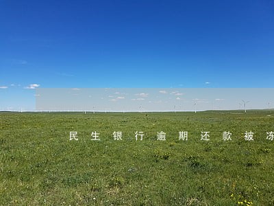 民生银行逾期还款被冻结怎么办 民生银行逾期还款被冻结怎么办