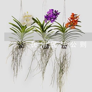 民用民法公则 民用民法公则
