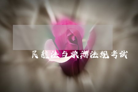 民航法与旅游法规考试 民航法与旅游法规考试