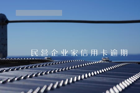 民营企业家信用卡逾期 民营企业家信用卡逾期