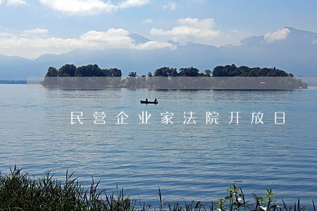 民营企业家法院开放日