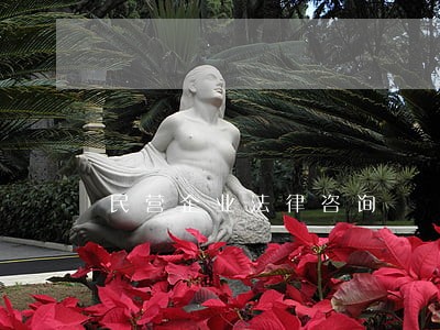 民营企业法律咨询