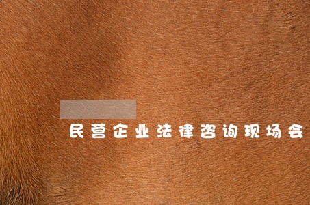 民营企业法律咨询现场会 民营企业法律咨询现场会