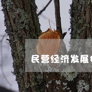 民营经济发展提供有力司法服务 民营经济发展提供有力司法服务