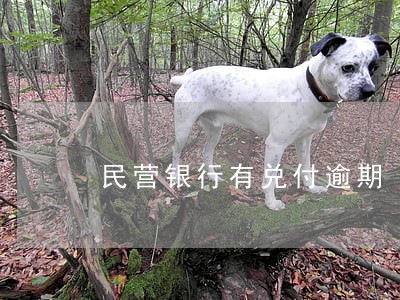 民营银行有兑付逾期 民营银行有兑付逾期