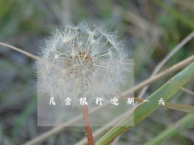 民营银行逾期一天 民营银行逾期一天