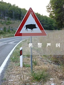 民警严纠非机动车违法行为