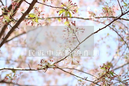 民诉中法院的作用 民诉中法院的作用