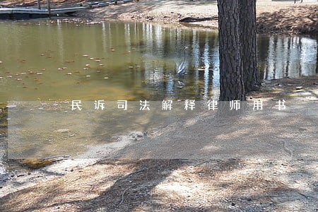 民诉司法解释律师用书