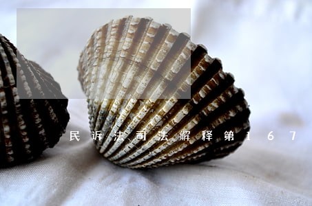 民诉法司法解释第167条