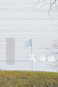 民诉法第五十三条解释 民诉法第五十三条解释