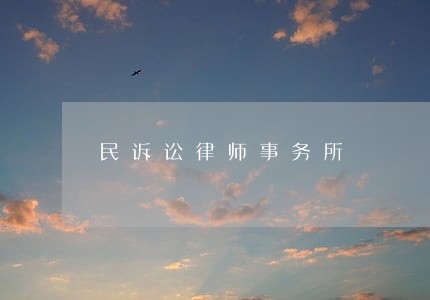 民诉讼律师事务所