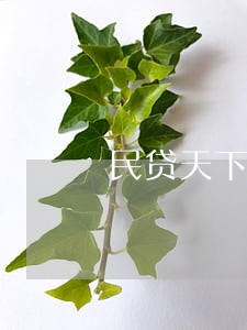 民贷天下项目逾期 民贷天下项目逾期
