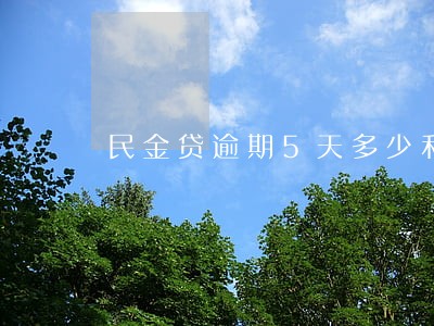 民金贷逾期5天多少利息 民金贷逾期5天多少利息