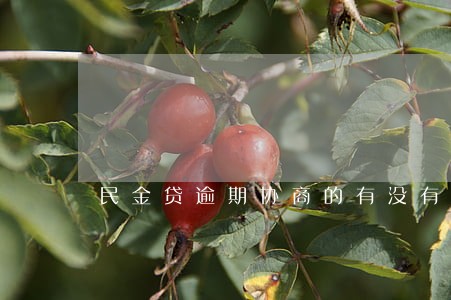 民金贷逾期协商的有没有 民金贷逾期协商的有没有