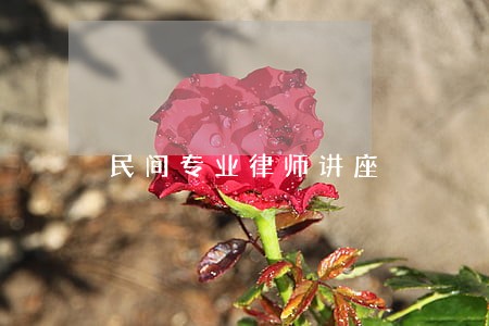民间专业律师讲座 民间专业律师讲座