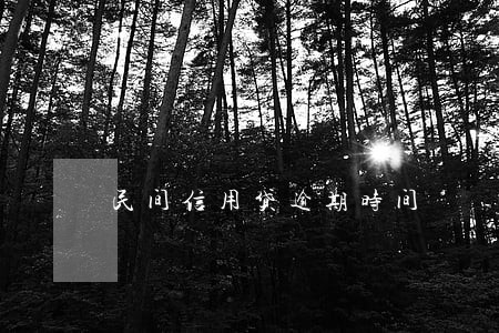 民间信用贷逾期时间