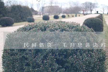 民间借贷一毛月息违法吗 民间借贷一毛月息违法吗
