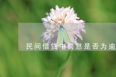 民间借贷中罚息是否为逾期利息 民间借贷中罚息是否为逾期利息