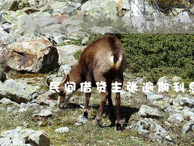 民间借贷主张逾期利息吗 民间借贷主张逾期利息吗