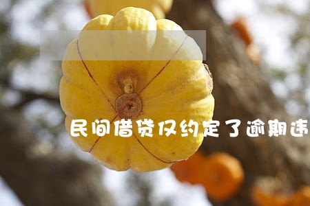 民间借贷仅约定了逾期违约金 民间借贷仅约定了逾期违约金