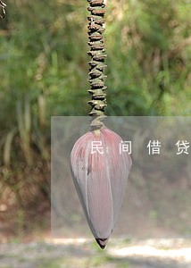 民间借贷借条有法律效应吗 民间借贷借条有法律效应吗