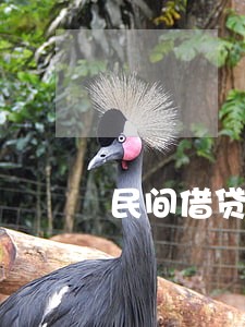 民间借贷公司逾期催收 民间借贷公司逾期催收
