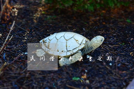 民间借贷判决书逾期 民间借贷判决书逾期