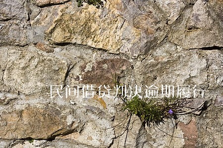 民间借贷判决逾期履行 民间借贷判决逾期履行