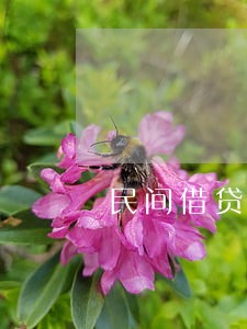 民间借贷判分期