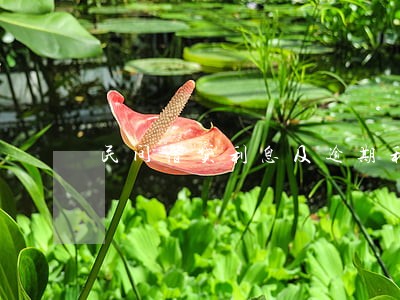 民间借贷利息及逾期利息计算 民间借贷利息及逾期利息计算