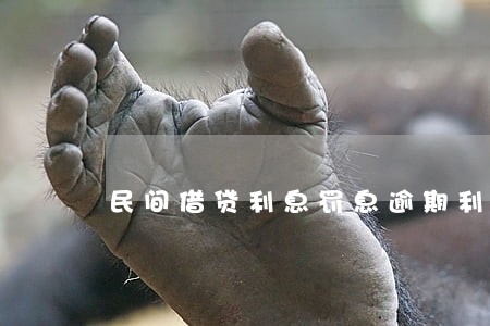 民间借贷利息罚息逾期利息 民间借贷利息罚息逾期利息