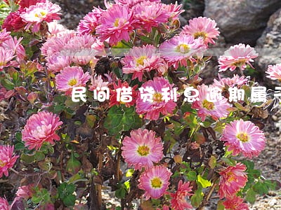 民间借贷利息逾期属于违约 民间借贷利息逾期属于违约
