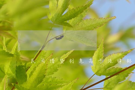 民间借贷利息高于法律标准犯罪吗 民间借贷利息高于法律标准犯罪吗