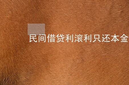民间借贷利滚利只还本金吗 民间借贷利滚利只还本金吗