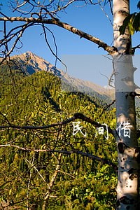 民间借贷利率超过多少为违法 民间借贷利率超过多少为违法