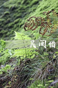 民间借贷别人要求法院渣封房后 民间借贷别人要求法院渣封房后