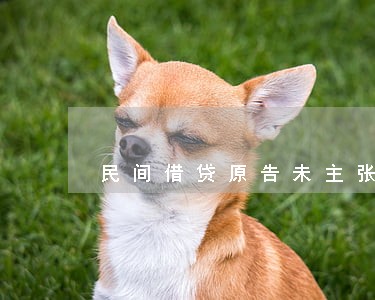 民间借贷原告未主张逾期利息