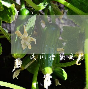民间借贷受到了法律保护 民间借贷受到了法律保护