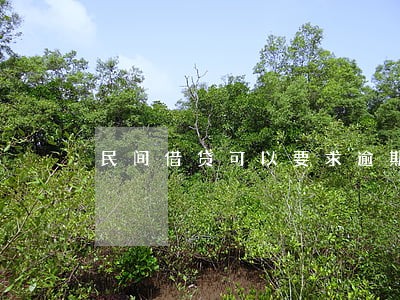 民间借贷可以要求逾期罚息吗