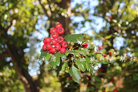 民间借贷司法解释逾期付款利息 民间借贷司法解释逾期付款利息