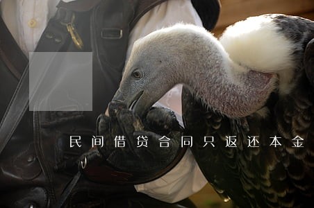 民间借贷合同只返还本金 民间借贷合同只返还本金
