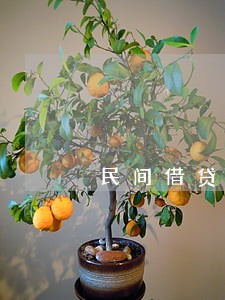 民间借贷庭前答应法院还钱而没还 民间借贷庭前答应法院还钱而没还