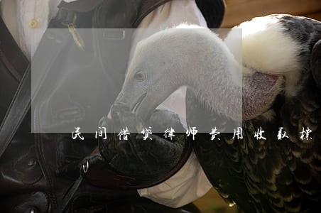 民间借贷律师费用收取标准是什么 民间借贷律师费用收取标准是什么