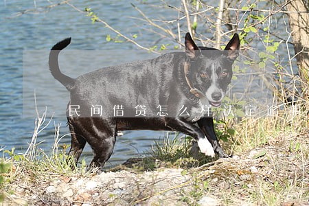 民间借贷怎么样认定逾期时间 民间借贷怎么样认定逾期时间
