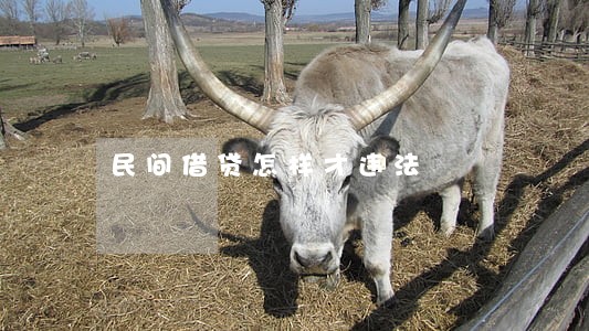 民间借贷怎样才违法 民间借贷怎样才违法