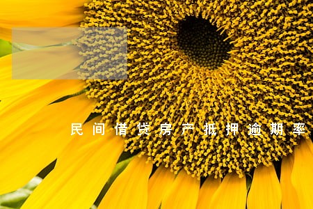 民间借贷房产抵押逾期率 民间借贷房产抵押逾期率