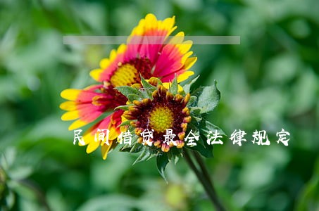 民间借贷最全法律规定 民间借贷最全法律规定